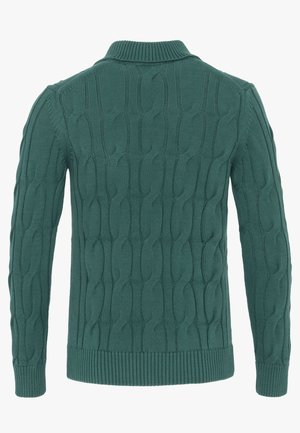 Vihreä neulottu villapaita, jossa on palmikkokuvio, pitkät hihat, resorit hihansuissa ja helmassa, esitettynä takaa valkoisella taustalla.