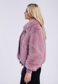 Freaky Nation ELLINOR - Chaqueta de invierno - frosted rose