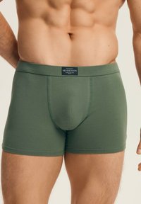Close-up of a man wearing fitted olive-green boxer briefs with a Henderson brand label on the waistband.