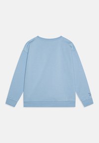 Ljusblå sweatshirt med rund halsringning, långa ärmar och ribbade muddar. Har subtil textdetalj på vänster ärm. Mjuk, slät textur.