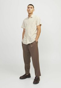 Camisa de botones de manga corta a rayas en color beige claro y tonos pasteles, combinada con pantalones sueltos marrones y zapatos oscuros de cordones.