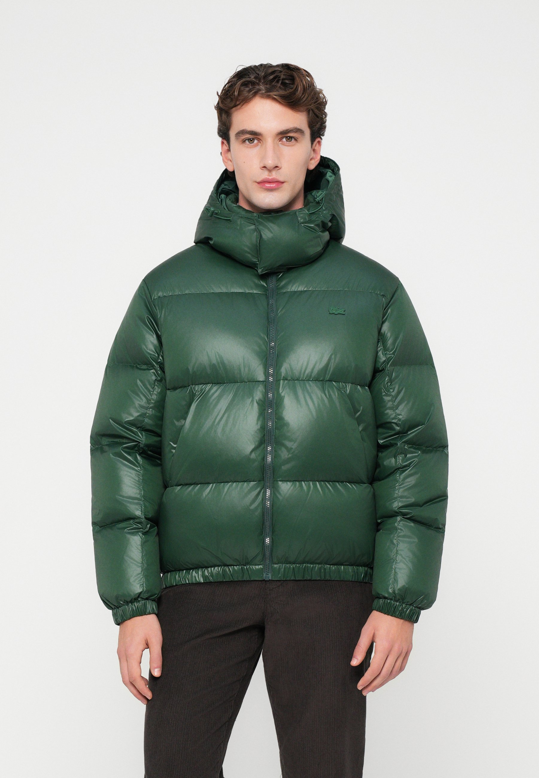 Lacoste Down jacket - green - Zalando.co.uk
