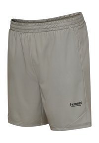 Jasnoszare szorty sportowe z elastycznym paskiem, wykonane z gładkiego materiału, z czarnym logo "hummel" oraz ukośnymi szwami bocznymi.