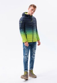 Ombre Giacca da mezza stagione - navy green