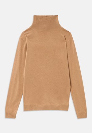 Maglione a collo alto di colore tan, realizzato in tessuto liscio, dotato di maniche lunghe e colletto a coste alto. Vestibilità classica con una delicata texture.