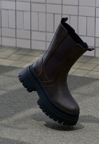 Επιλέχθηκε, brown