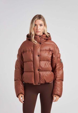 CLOUD BOSS DOWN PUFFER - Vinterjakker - mocha brown