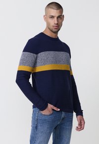 Marineblauer Pullover mit strukturiertem Rippenmuster und horizontalen Streifen in Grau und Senfgelb. Rundhalsausschnitt und lange Ärmel. Legere Passform.