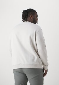 Felpa grigia chiaro con polsini e orlo a coste. Vestibilità casual, tessuto morbido, scollo rotondo, vista dal retro, abbinata a pantaloni verde oliva.