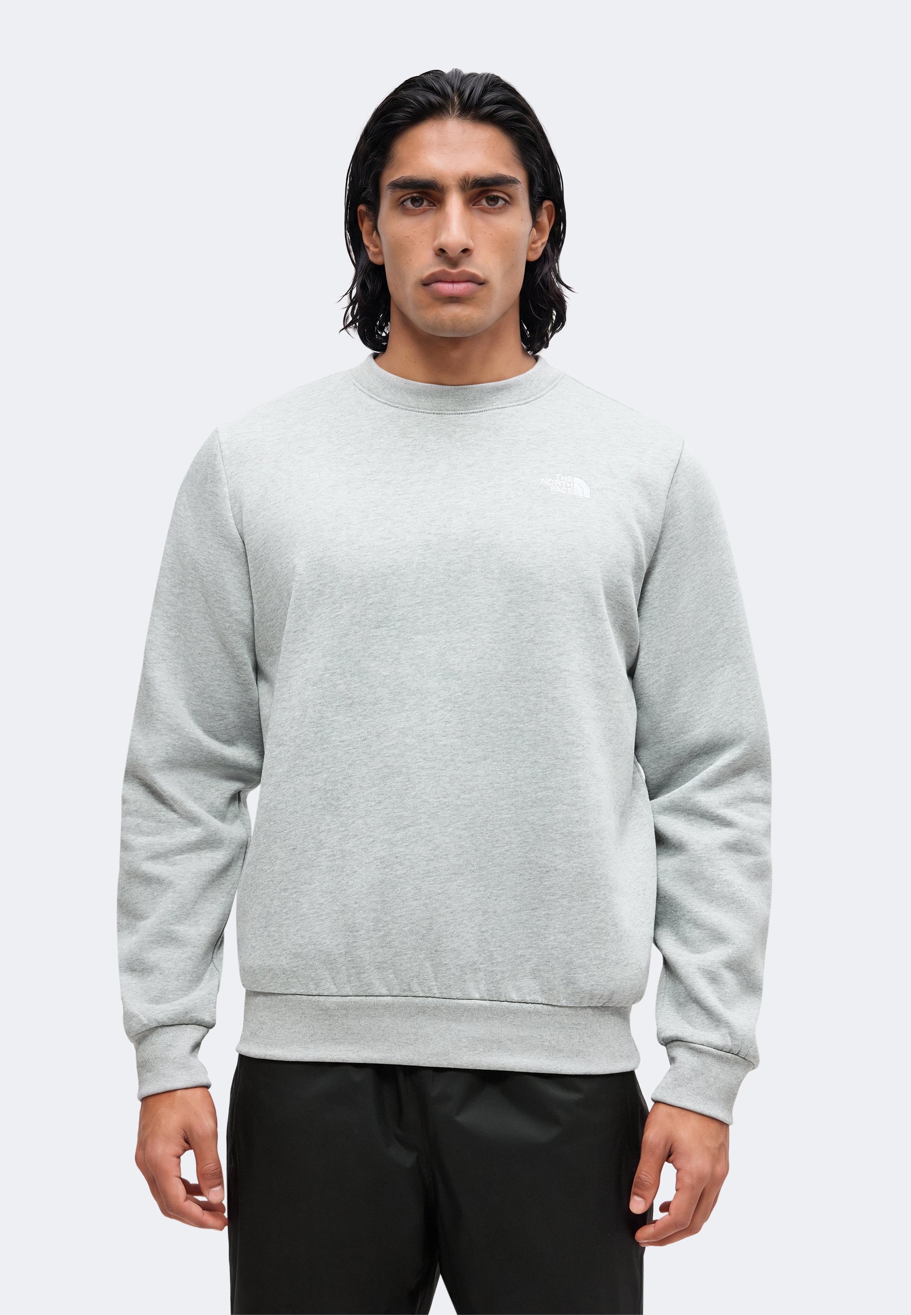 The North Face EVOLUTION SIMPLE DOME REGULAR CREW - Sweater - pale