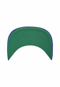 Grüne Kappe mit einem gebogenen Schirm und einem blauen Akzent entlang der Kante. Gefertigt aus Stoff mit sichtbaren Nähdetails.