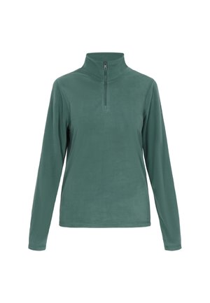 Groene fleece pullover met lange mouwen en een kwart-rits kraag. Zachte textuur, minimalistisch ontwerp en geen zichtbare patronen of hardware-details.