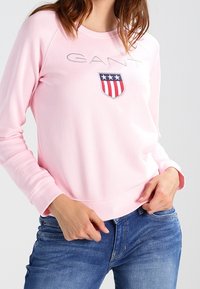 Felpa rosa chiaro con scollatura rotonda, maniche lunghe, logo ricamato "GANT" e un emblema a scudo con stelle e strisce.