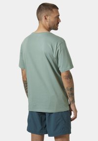 Helly Hansen HH LOGO - Camiseta estampada - cactus