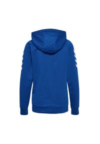 Blå huva sweatshirt med en slät textur, som har vita diagonala ränder på ärmarna samt ribbade muddar och fåll.