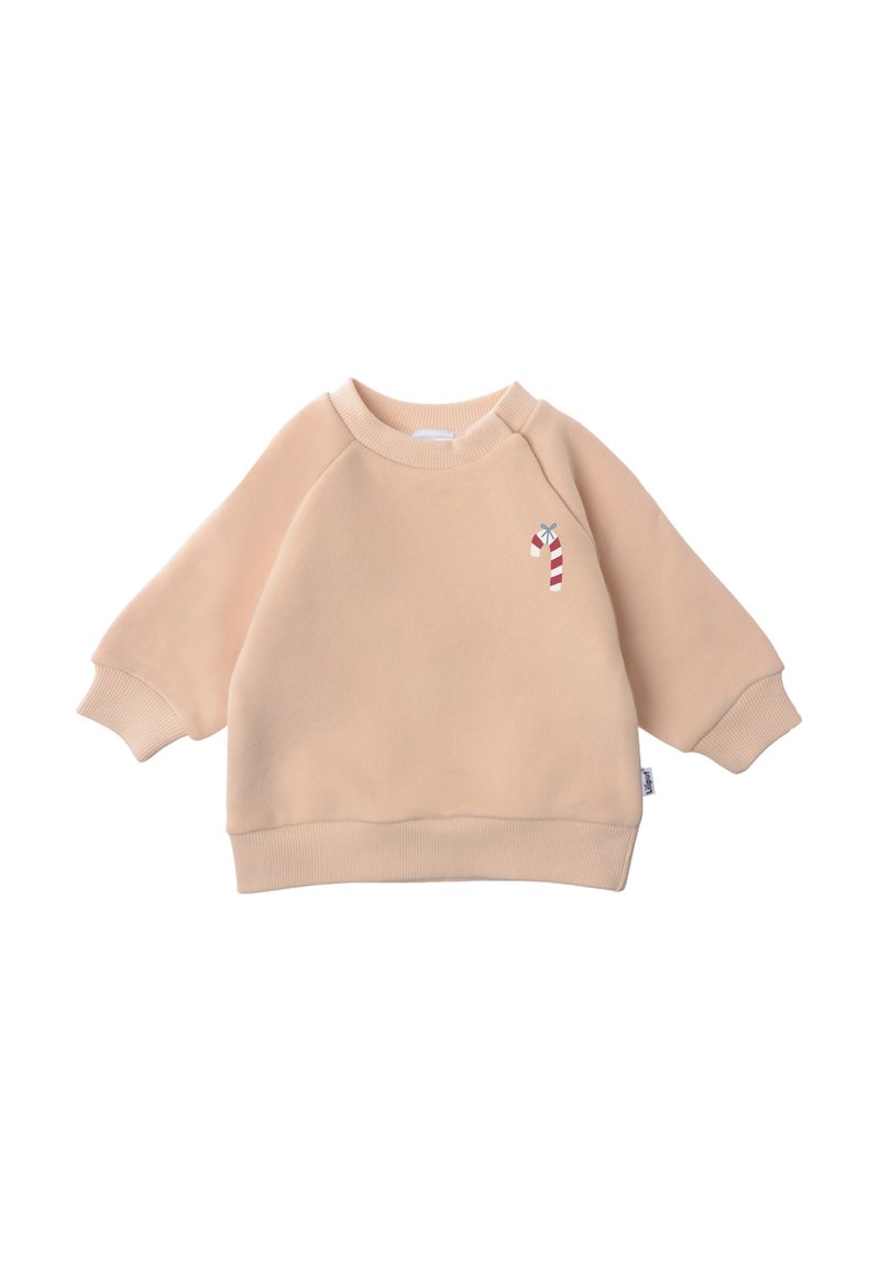 Light beige sweatshirt with raglan sleeves, ribbed cuffs and hem. Features a small candy cane embroidery on the front. Soft, smooth texture.