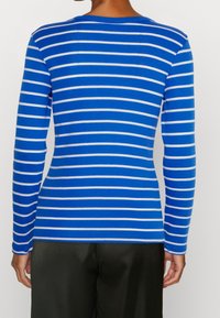 Långärmad topp i blått med vita horisontella ränder, rund halsringning, mjuk textur och figursydd form. Ingen synlig utrustning eller detaljer.