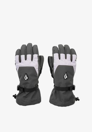 Grijze en lichtgrijze geïsoleerde handschoenen met een rubberachtig logo, verstelbare polsband en stevig stof, met een versterkt handpalmbereik.