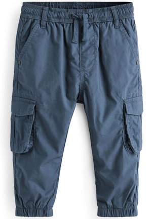 LINED STANDARD - Cargohose - blue