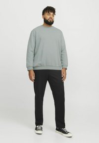 Lichtgrijze sweatshirt met een ronde hals, ribgebreide manchetten en zoom, gecombineerd met zwarte broek en zwarte sneakers. Eenvoudig, comfortabel ontwerp.