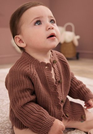 Next, REGULAR FIT - KNITTED BABY CARDIGAN  . - Pullover - brown scallop