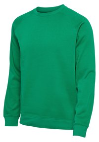 Sweatshirt vert en tissu uni, doté d'un col rond, de longues manches raglan et de poignets et d'un ourlet côtelés. Texture lisse.