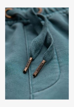 Teal hoodie met trekkoorden en bronzen metalen tips. Text op de tips leest "DIDIMBRE." Gladde stof met zichtbare stiksels en textuurdetails.