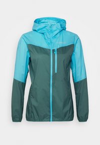 Não selecionado, aquarius/north atlantic