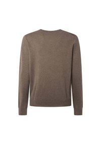 Brauner Strickpullover mit langen Ärmeln, Rundhalsausschnitt, gerippten Bündchen und Saum. Weicher Stoff, schlichtes Design. Rückansicht gezeigt.