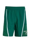 LEGACY - Sporta šorti - collegiate green chalk white