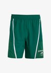 LEGACY - Αθλητικό σορτς - collegiate green chalk white
