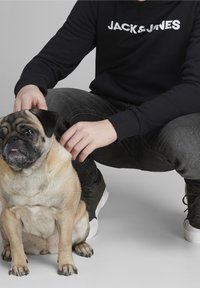 Sudadera negra con el logotipo blanco de "JACK&JONES", jeans grises y zapatillas oscuras, con un pug color leonado sentado junto a la rodilla de una persona.
