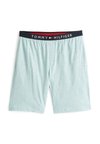 ORIGINAL SHORT - Pižamos apatinė dalis - minty essence heather