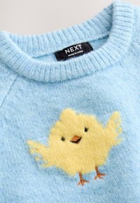 Pull bleu doux avec un motif de poussin jaune duveteux sur le devant et une étiquette de marque NEXT noire cousue à l’intérieur du col.