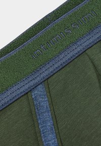 Zielona bielizna z fakturowanym elastycznym paskiem w niebieskie akcenty. Materiał jest gładki, o dopasowanym kroju i kontrastowych panelach bocznych.