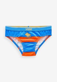 Bikini svømmedragter i lys blå og orange, med horisontale striber og et dinosaur grafik. Blødt stof med elastisk talje.