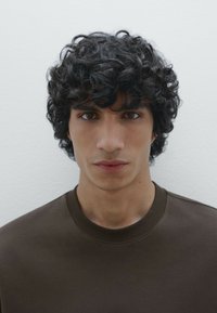 Massimo Dutti CREW NECK SWEATSHIRT WITH SHORT SLEEVES - T-shirt basic - mottled dark brown