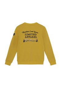 Indian Blue jeans LIMITED APPAREL - Sweatshirt - antique bronze