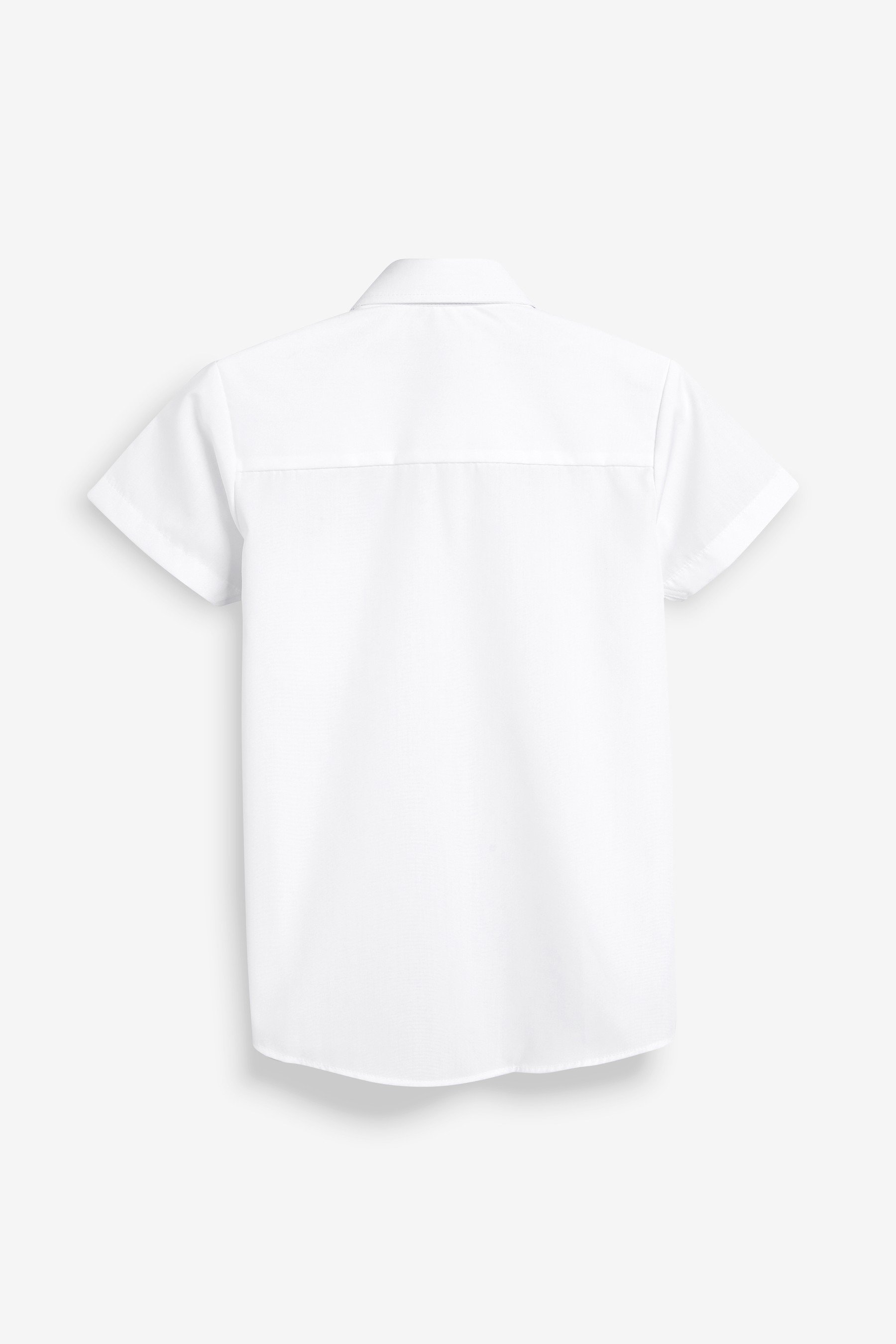 butterfly tshirt design