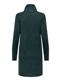 Robe-pull à col roulé en maille vert foncé à manches longues, avec poignets et ourlet côtelés, vue de dos.