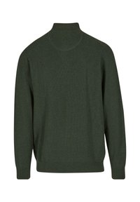 Dunkelgrüner, langärmeliger Strickpullover mit gerippten Bündchen, Saum und hohem Rollkragen, von hinten vor einem weißen Hintergrund gezeigt.
