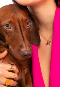 Collana d'oro a forma di bassotto, indossata da una persona con un blazer rosa, che tiene in braccio un cane marrone con pelo corto e occhi espressivi.