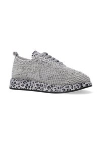 Šedé síťované tenisky s dekoračními spirálovými vzory a leopardím vzorem na podrážce. Mají šedé tkaničky a zaoblený design špičky. Lehký materiál.
