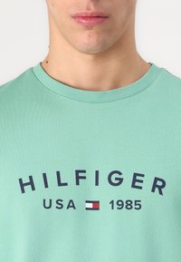 Mintgrønn t-skjorte med rund hals og korte ermer. Har en fremtredende marineblå "HILFIGER"-logo, sammen med teksten "USA" og "1985".