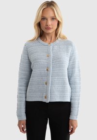 Gaiši zils ribots kardigans ar apaļu kakla izgriezumu, ar piecām zelta pogām priekšpusē un garām piedurknēm. Tekstūrētā adījuma dizains.