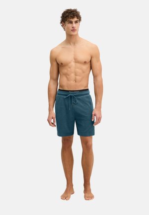 Hemdloser Mann mit lockigem Haar, der türkisfarbene Shorts mit Kordelzug trägt und barfuß vor einem schlichten weißen Hintergrund steht.
