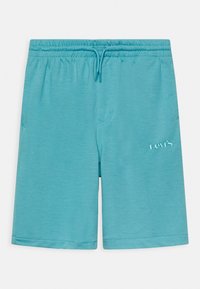 Turkoosit sortset, millel on elastne vöökoht ja nöör. Omab sõna "Levi's" broderitud veidi tumedamas varjus. Sile tekstuur.