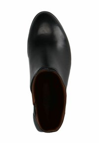 Botte de cheville en cuir noir avec un bout pointu élégant, texture lisse et doublure intérieure marron. Aucune quincaillerie visible ni embellissements.