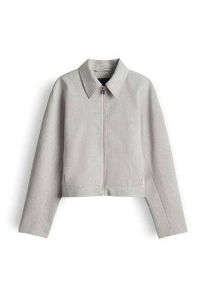 Veste gris clair zippée avec col pointu, manches longues et coupe légèrement courte et carrée sur fond blanc.