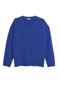 Pull bleu col en V à manches longues, texture tricotée, poignets et ourlet côtelés, coupe décontractée, fabriqué en tissu doux.